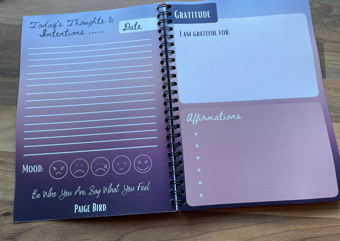 Journals / Notebooks